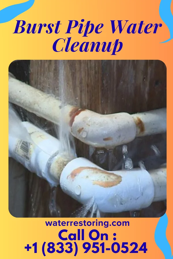Burst Pipe Water Cleanup in Lake Panorama, IA